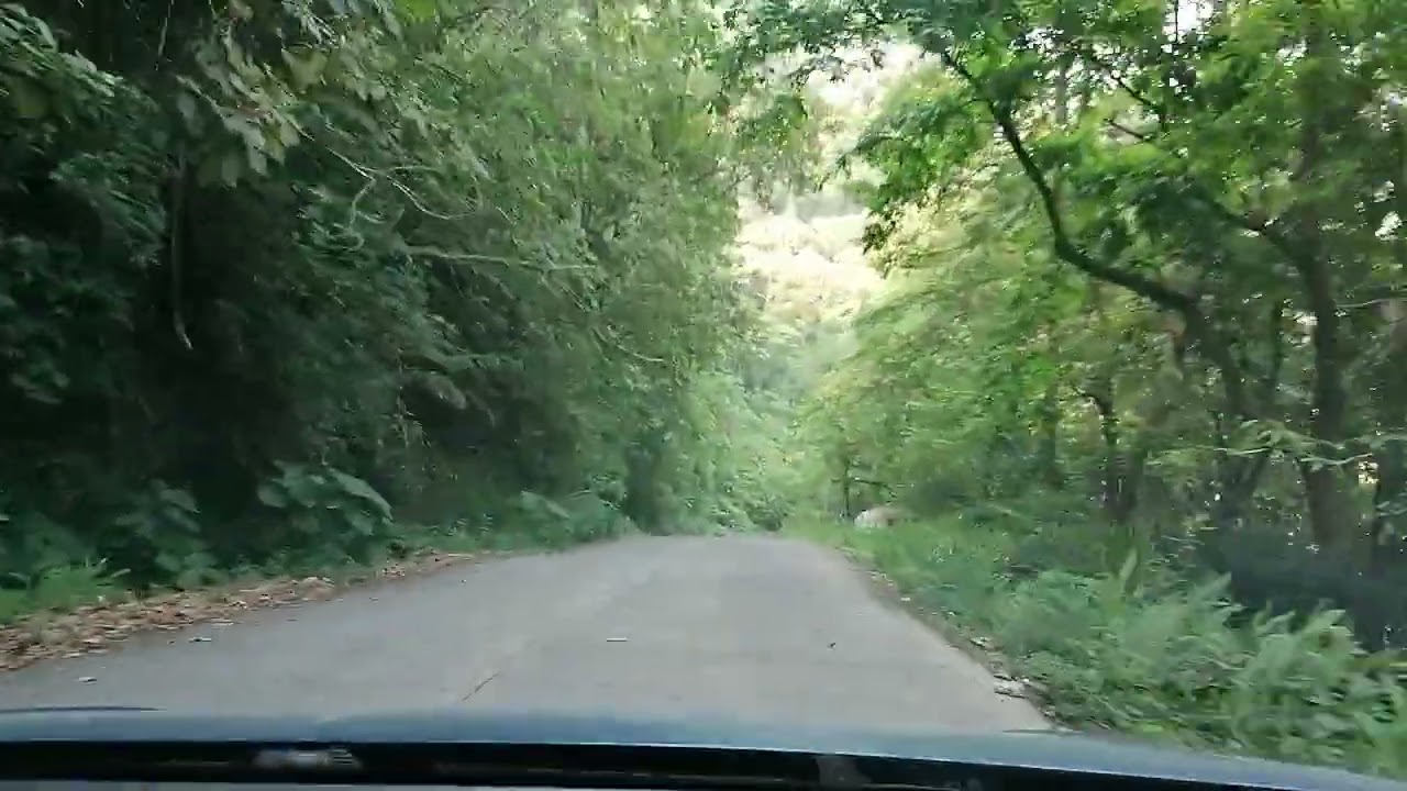 Arrollan a dos jóvenes cuando realizaban un video en Tlatlauquitepec