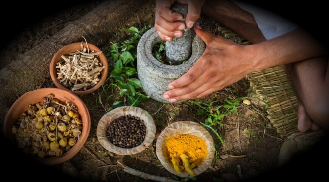 Fomentan relevancia de la medicina tradicional en Puebla