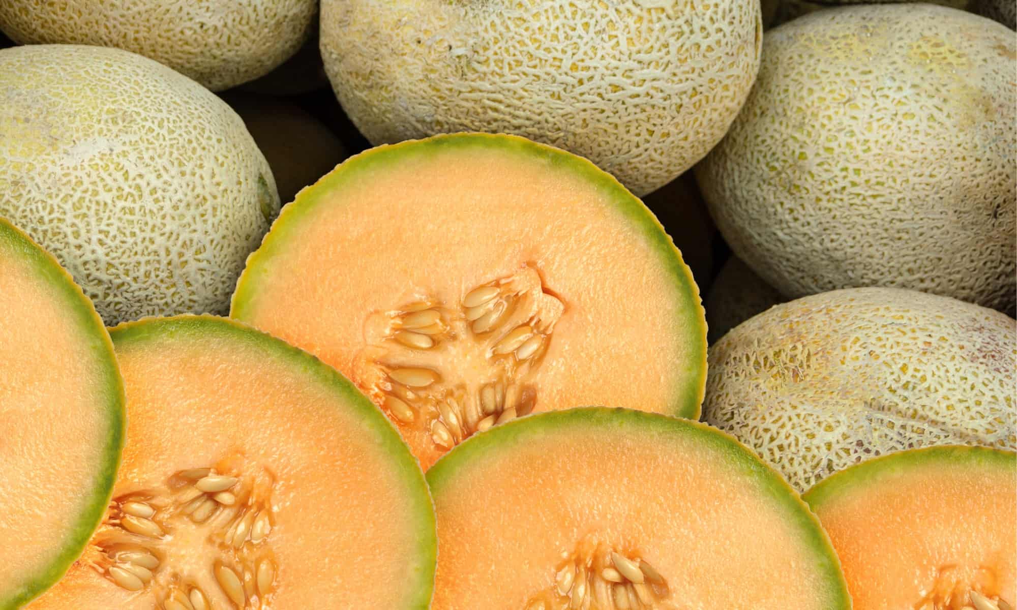 Canadá y EU detectan salmonella en melón cantaloupe procesado en México