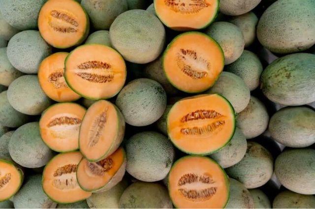 Productores de melón de La Huacana se preparan para recibir a deportados