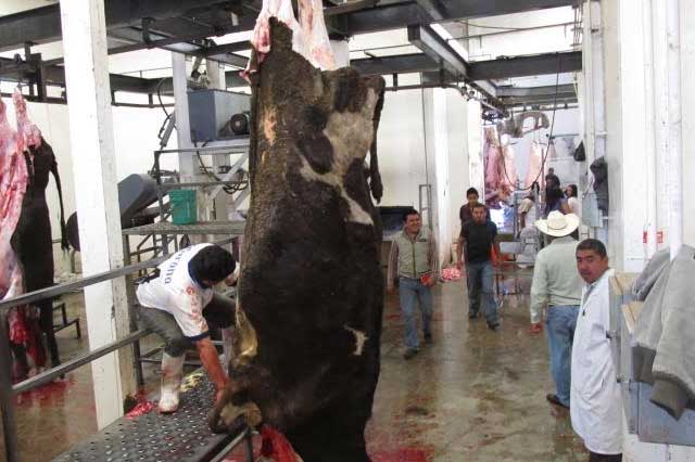 Acusa SECOTRADE a Tehuacán por frenar mercado de carnes