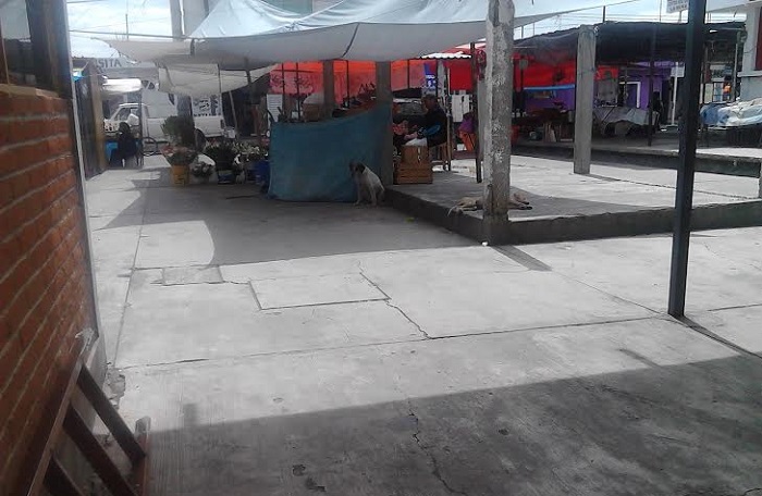Hasta 2015 podrían remodelar el mercado municipal de Huejotzingo