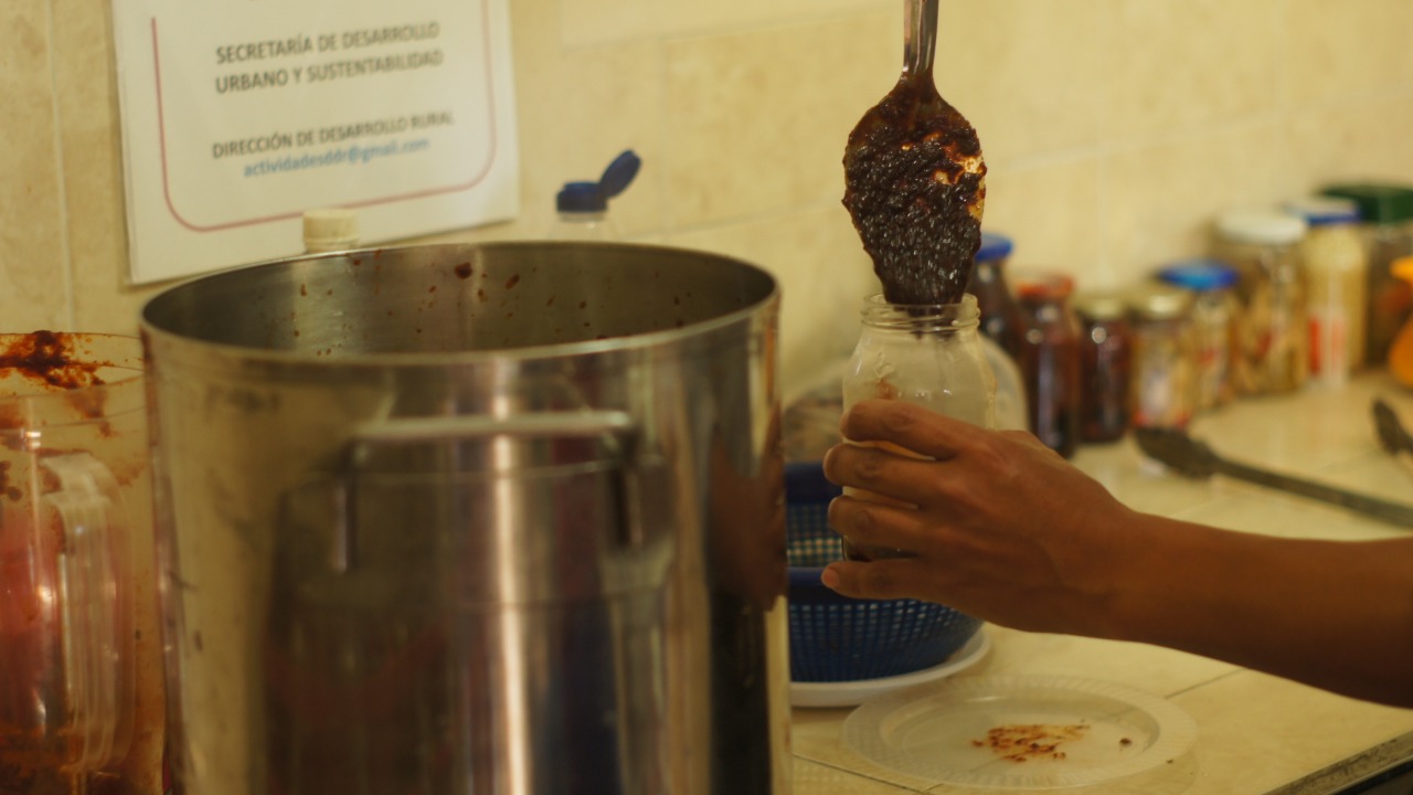 Ayuntamiento de Puebla invita a talleres de autosuficiencia alimentaria