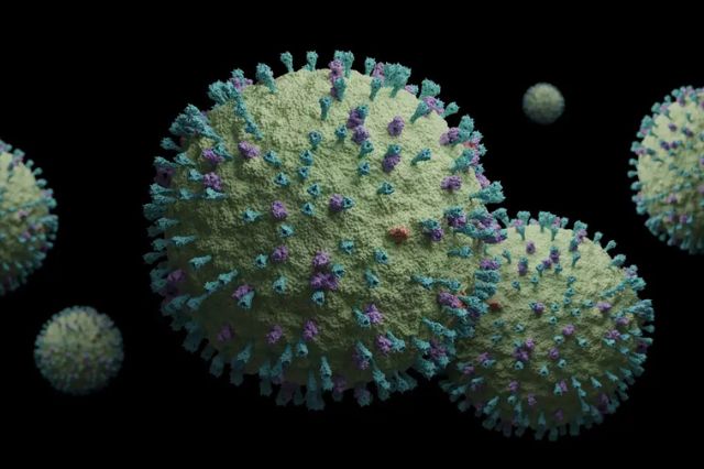 El Metapneumovirus Humano: un virus respiratorio que debemos conocer