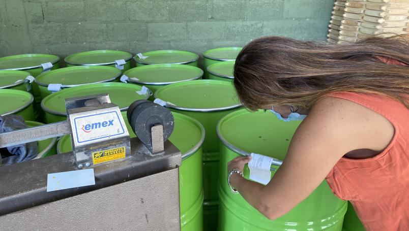 Desafía a oligopolios y exporta miel en plena pandemia