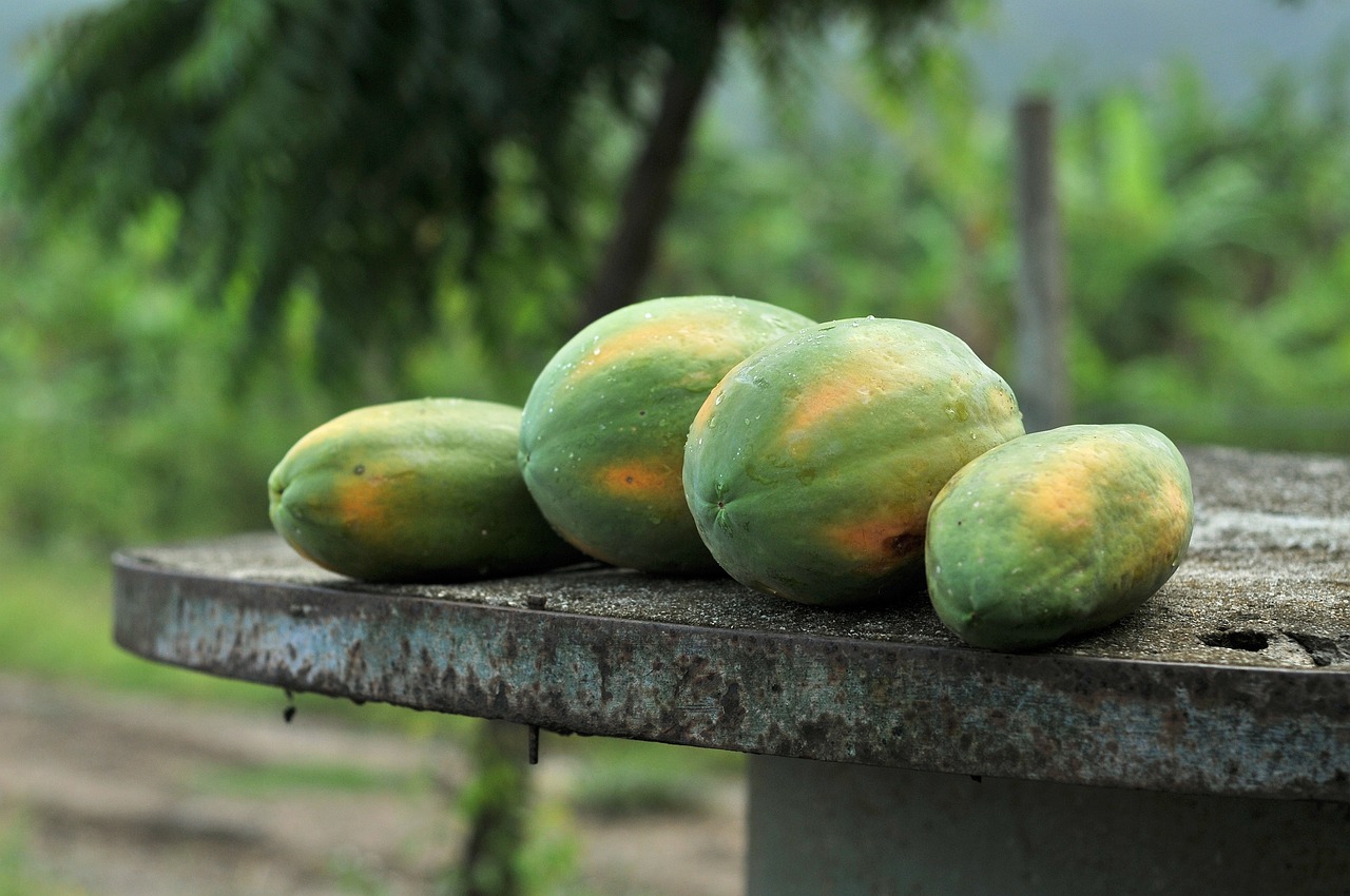 Crimen organizado ya no respeta ni las papayas, ahora controla su venta