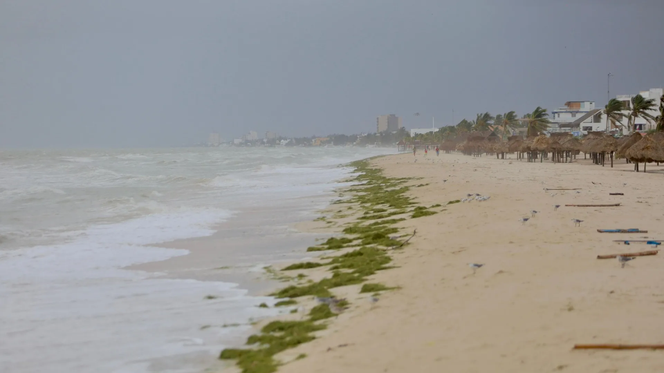 Son localizados cuatro de los 15 pescadores desaparecidos en Yucatán