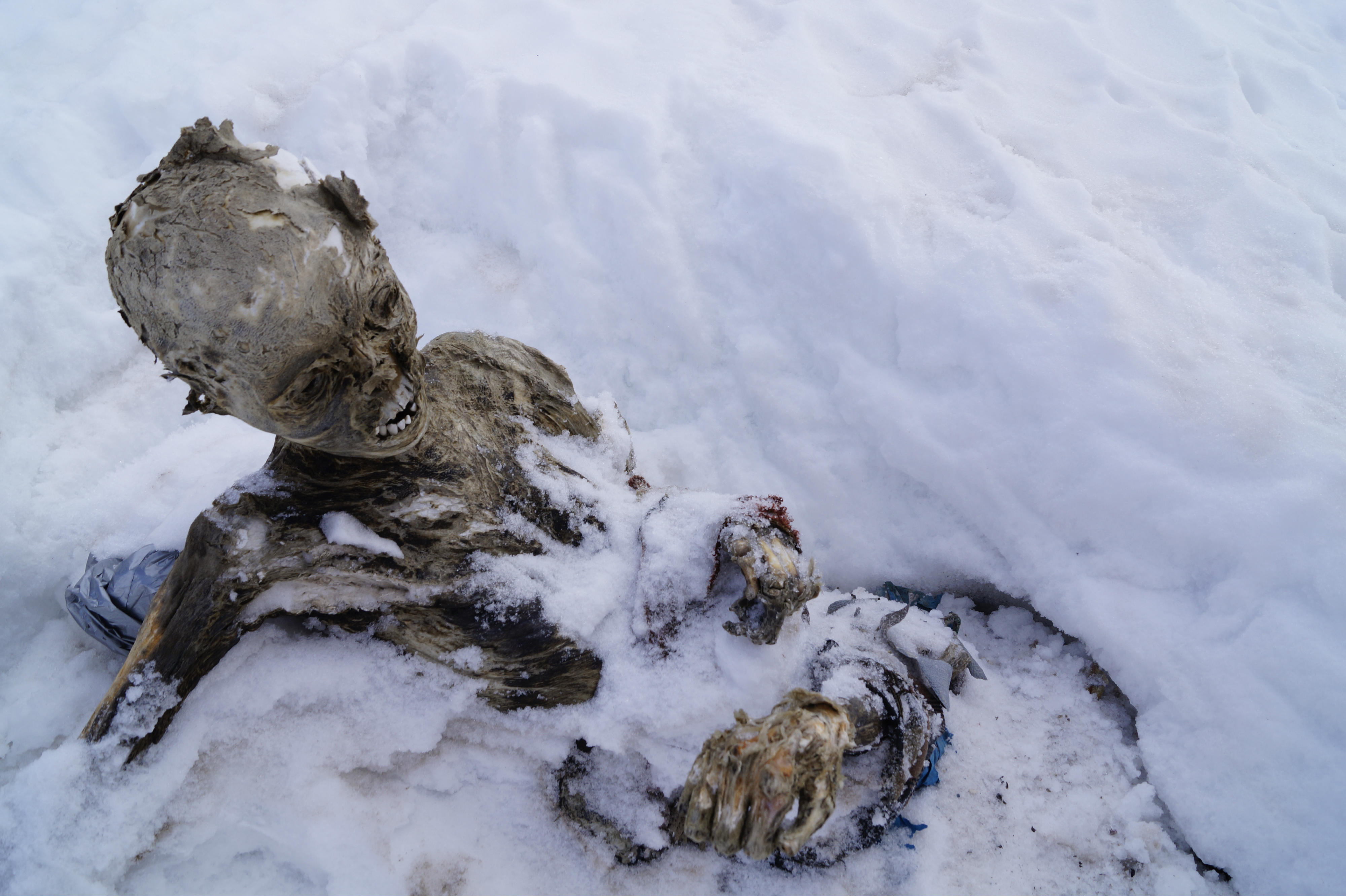 A la espera de ser rescatadas las dos momias del Citlaltépetl