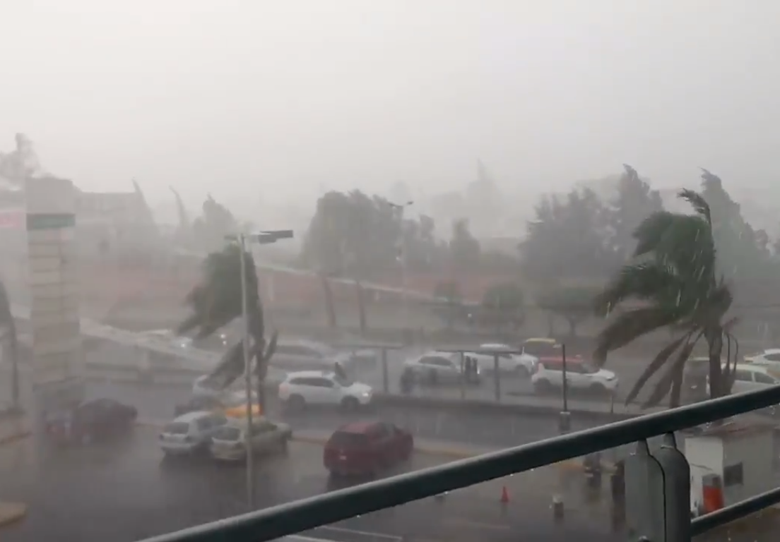 VIDEO Lluvias inundan Puebla, hasta una res arrastró el agua