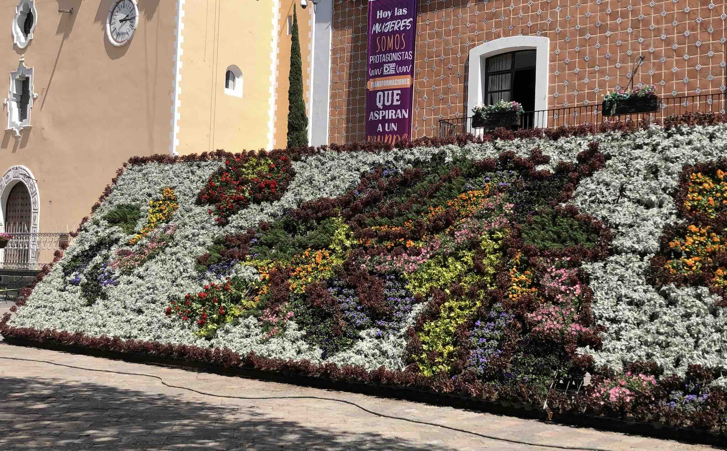 Arranca en Atlixco colocación del monumental mosaico floral de primavera