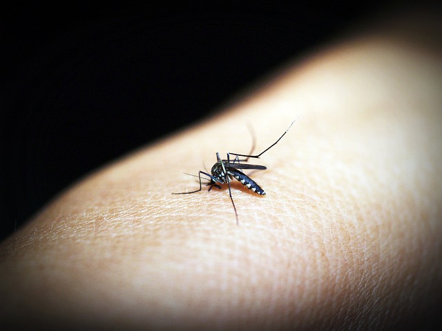 En México hay riesgo sanitario por dengue, zika y chikunguña y ahora COVID19