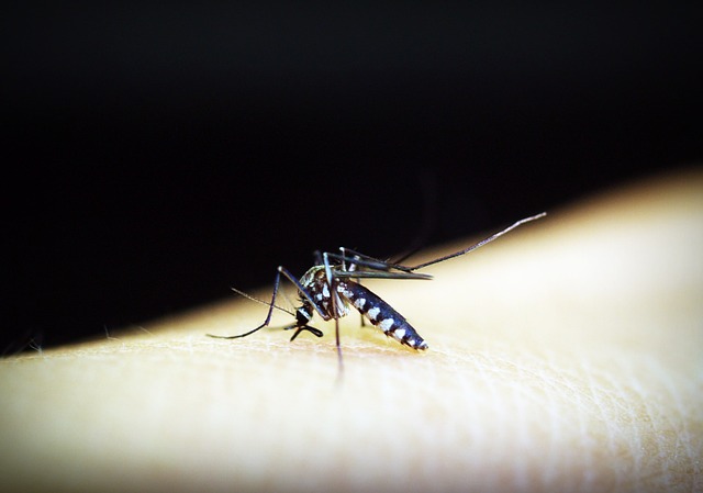 Puebla libre de Zika en lo que va del año