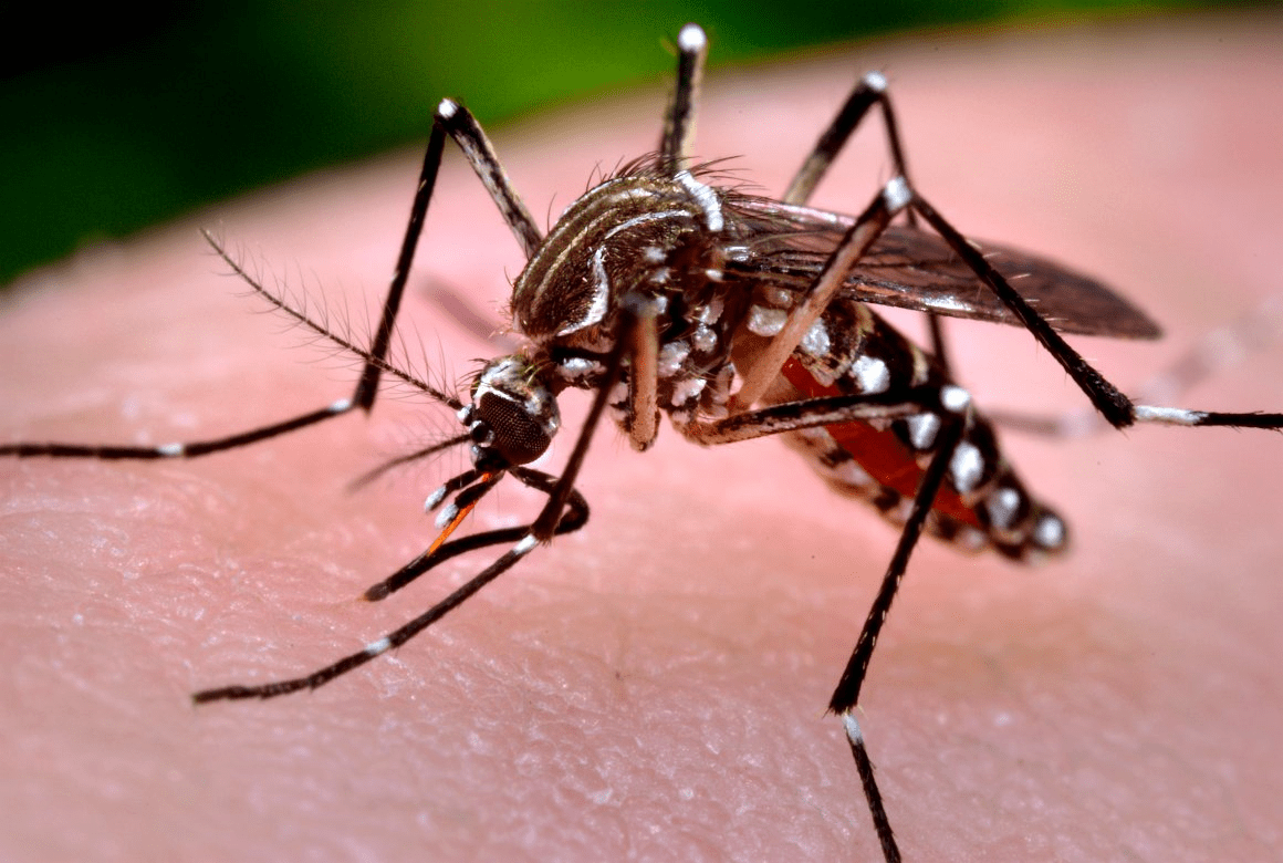 A pesar del frío continúan casos de dengue en Izúcar   