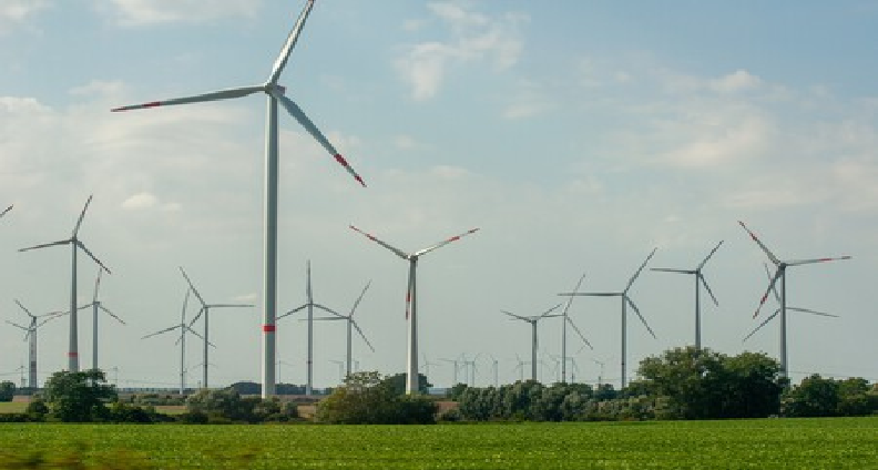 México podría perder 3 mil 500 mdd en energía eólica