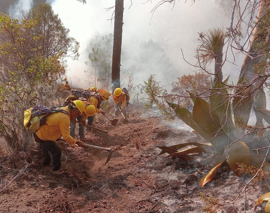 Muere voluntario que combatía incendio forestal en Ixtacamaxtitlán