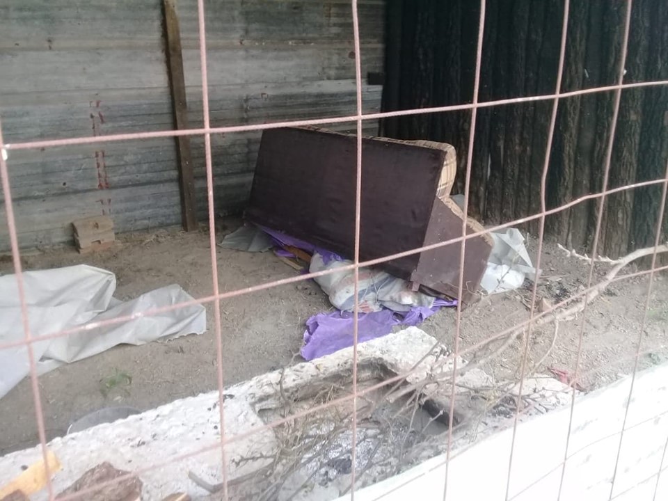 Persiguen a ladrones y hallan en su escondite a un cadáver