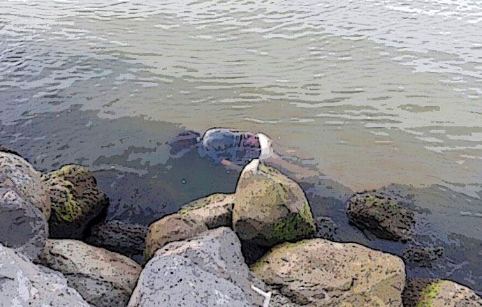 Hallan flotando cadáver de mujer en el río Nexapa en Huehuetlán el Chico