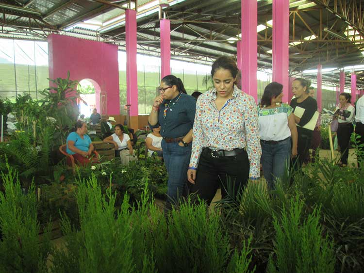 Entrega INAES apoyos por 16 mdp para proyectos de mujeres poblanas