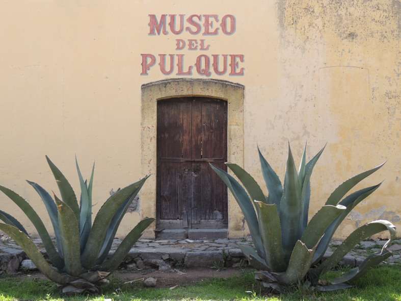 La bebida de los dioses tiene un santuario, el Museo del Pulque