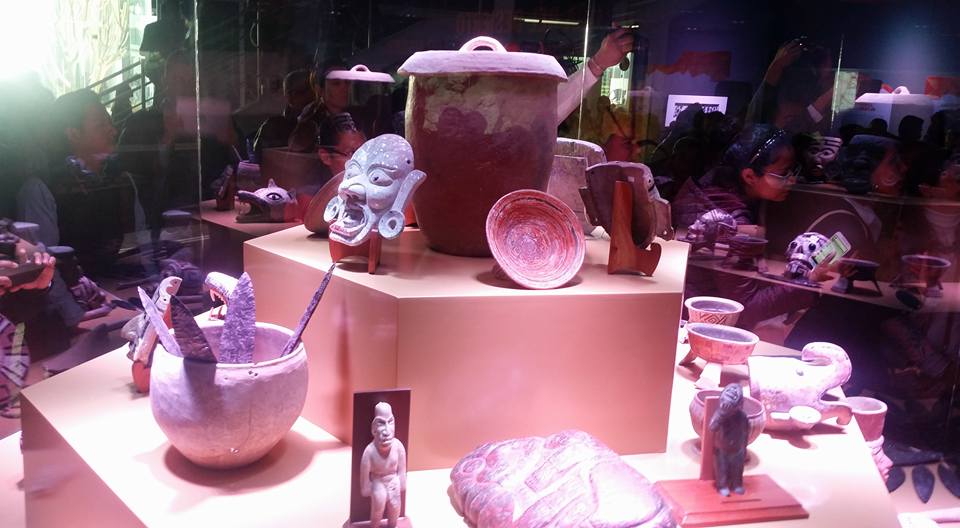 Recibe 70 mil visitantes el Museo de la Evolución en Tehuacán