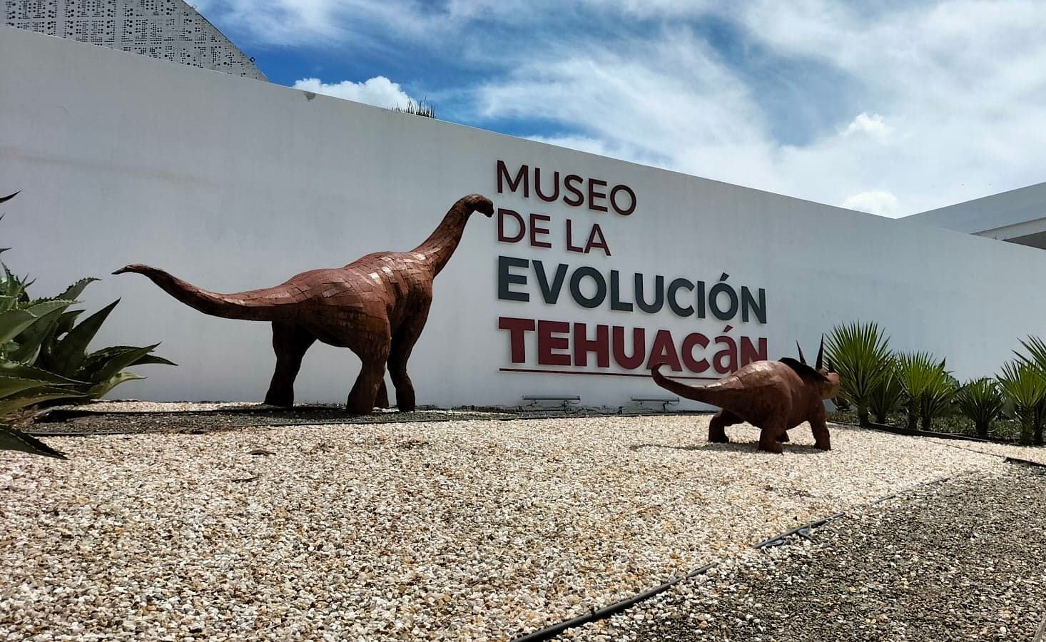 Clasificación y cambio de museografía mantienen cerrado Museo de la Evolución en Tehuacán