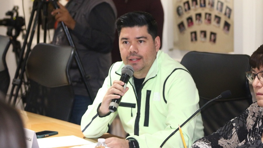 Verde va solo en 216 municipios; en la capital se aliará con Morena