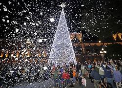 Encenderán árbol de Navidad el 29 de noviembre en el zócalo 