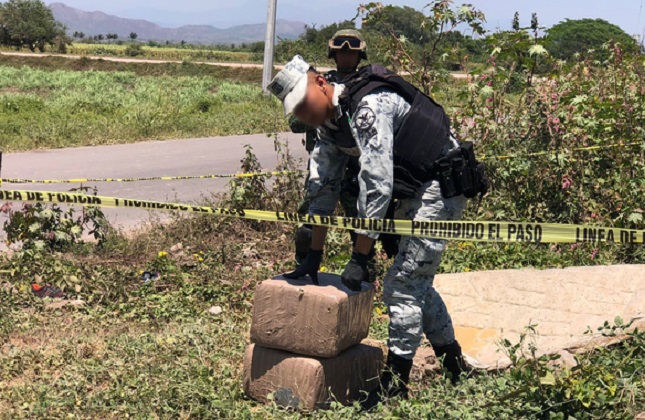 Escondían en hoyos paquetes de marihuana en Nayarit