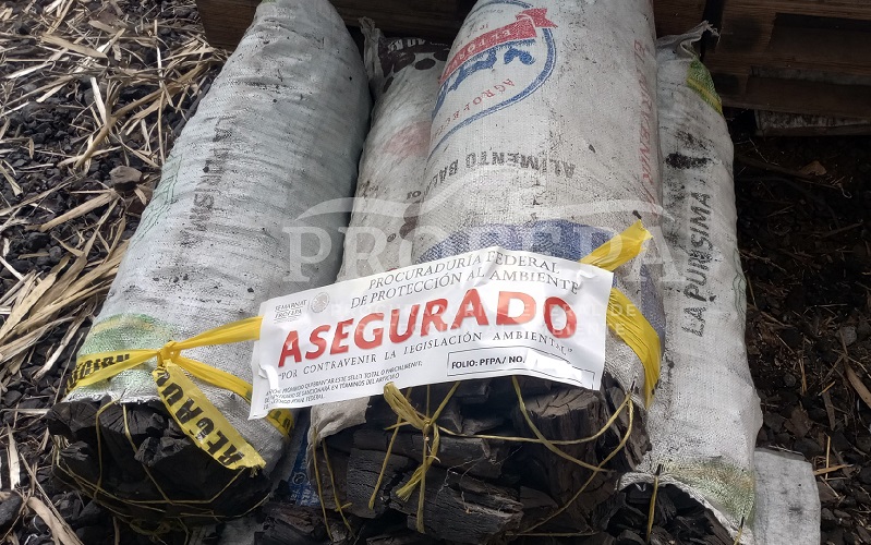 Clausuran carbonería en Amanalco, en el Estado de México