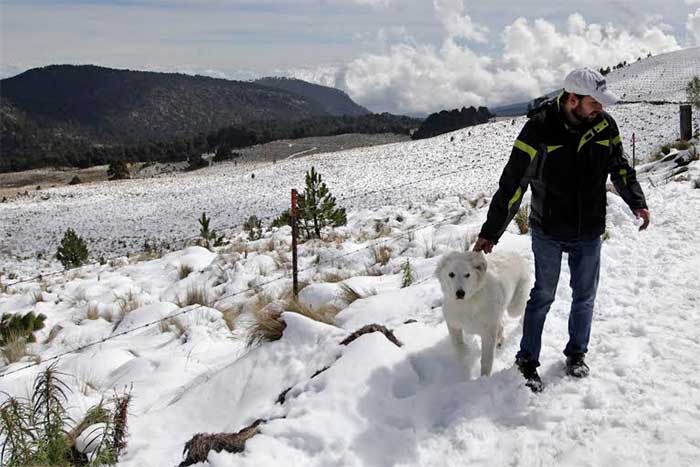 Cientos disfrutan de la nieve en Parque Nacional