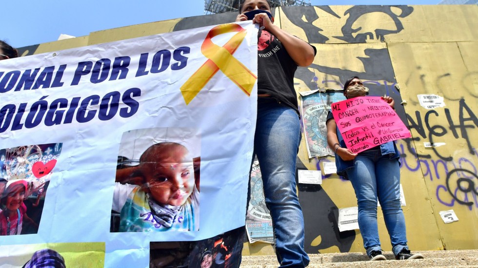 El elefante del desabasto