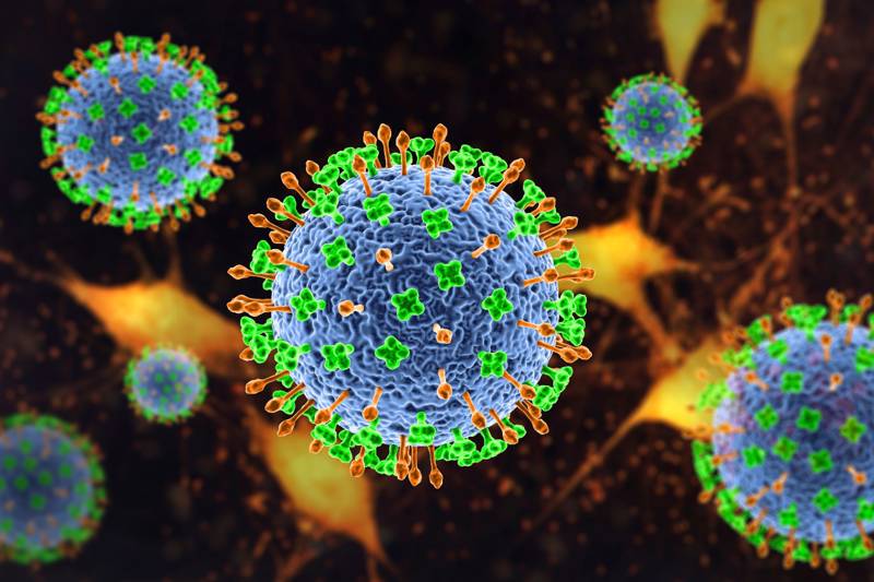 Preocupa a OMS brote de virus Nipah en la India
