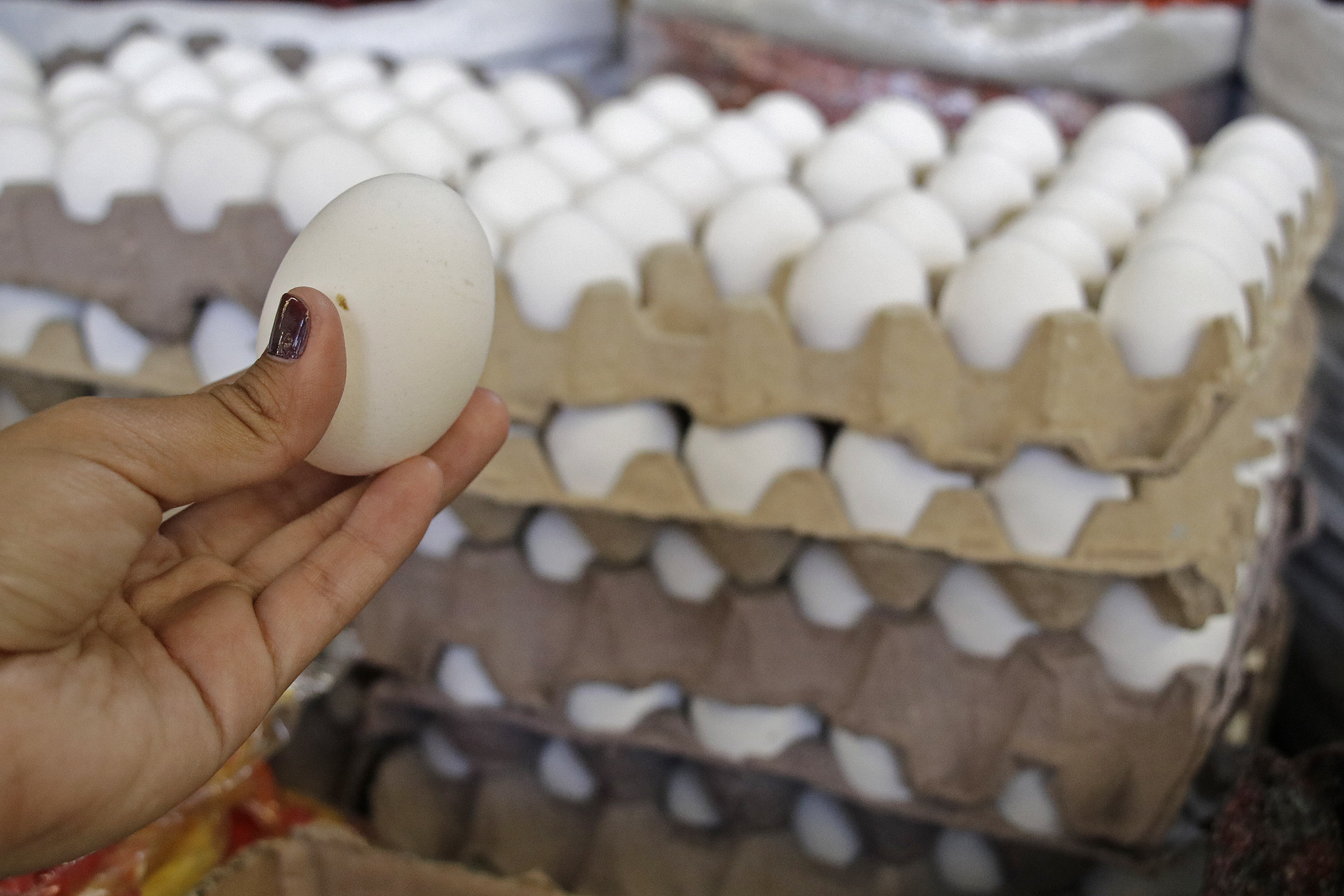Precio del huevo ya rebasó los 100 pesos en varios estados del país