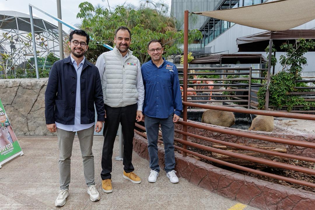 Llega la Noche de Museos de junio con descuentos y promociones