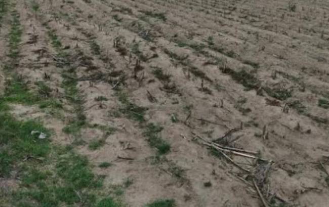 Preocupa a agricultores de Acajete falta de lluvias y sequía en la zona
