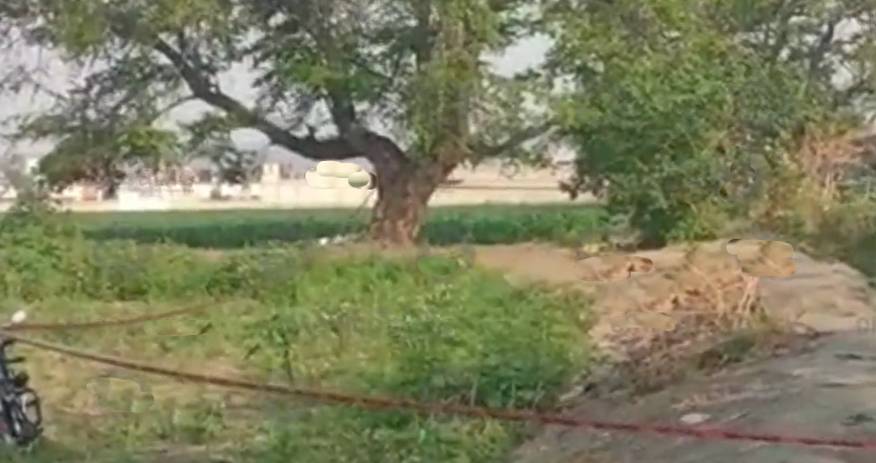 Hallan cadáver putrefacto en terrenos de Izúcar