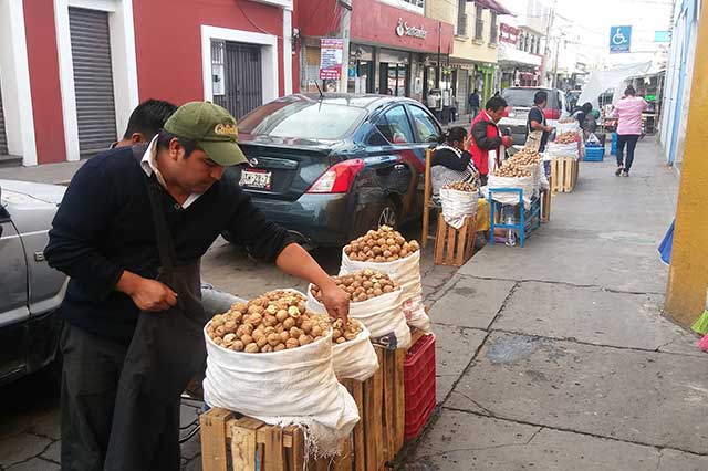 Hasta en 600 pesos venden kilo de nuez de castilla en Atlixco