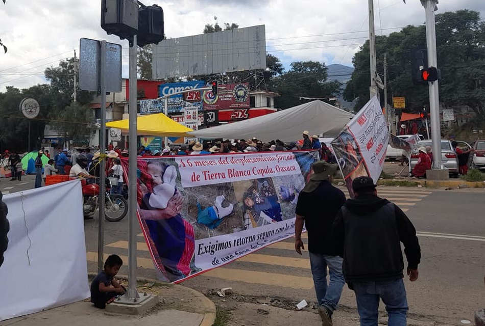 Por bloqueo en Oaxaca pierde industria avícola y porcícola de Tehuacán  