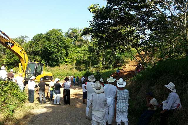 Denuncian a alcalde de Olintla por invadir terrenos y destruir cultivos