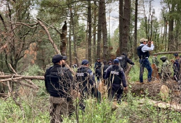 Inicia FGR operativos de vigilancia para evitar tala en La Malinche