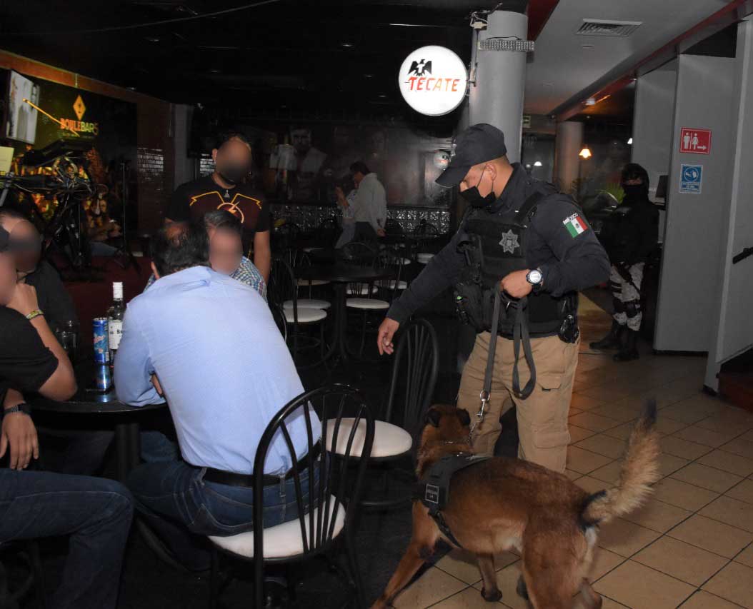 Fueron clausurados La Diva, La Taberna, La Parrilla del Chin-Chu y el El Susurro