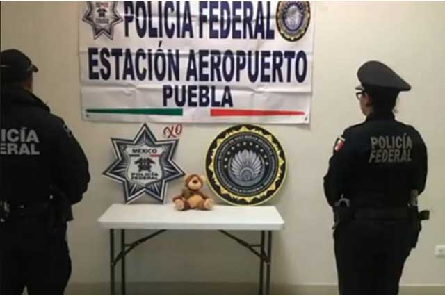 Aseguran en Aeropuerto de Huejotzingo oso con 55 gramos de Marihuana