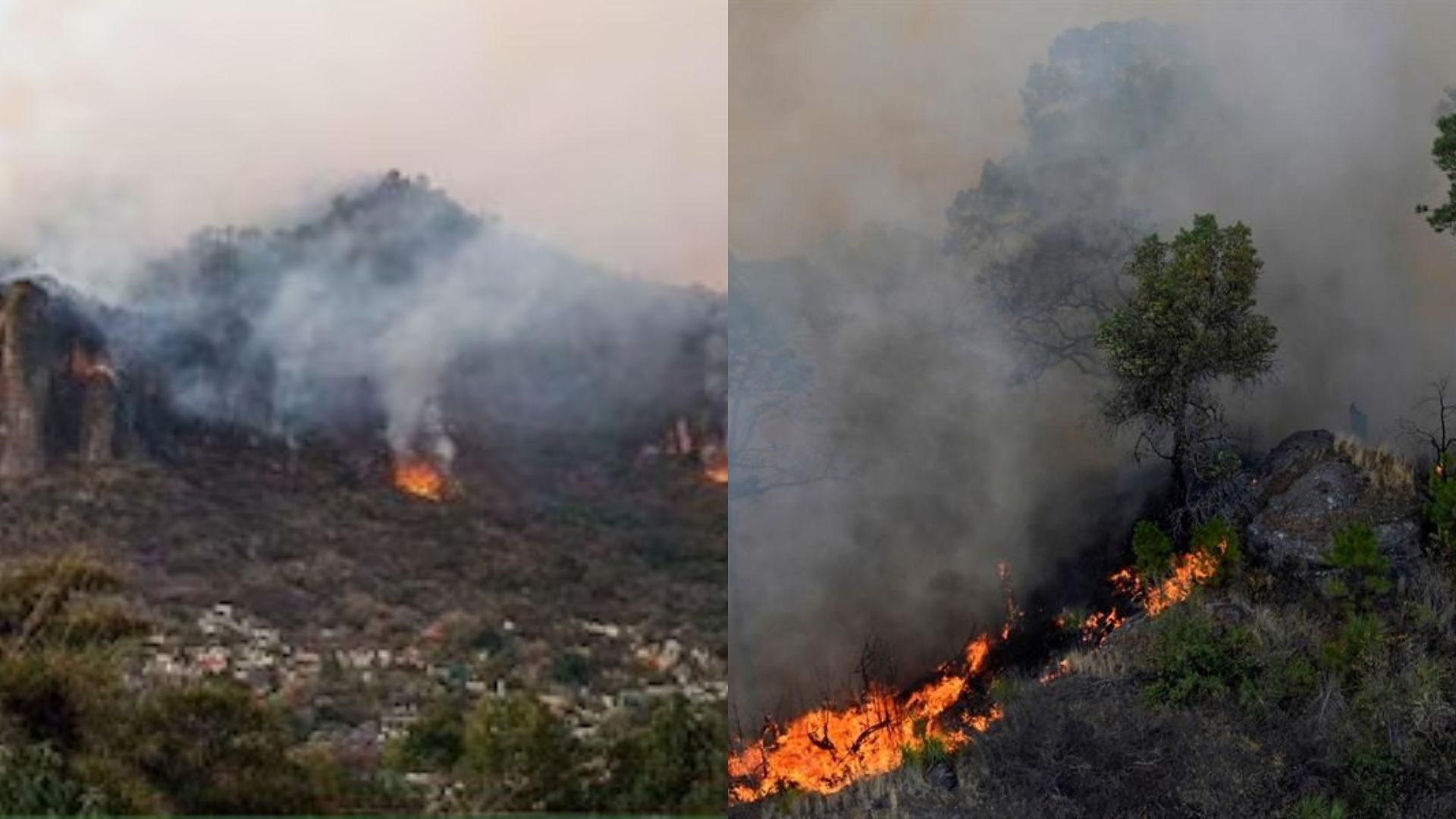 Reportan otro incendio forestal en la reserva de “El Tepozteco” 