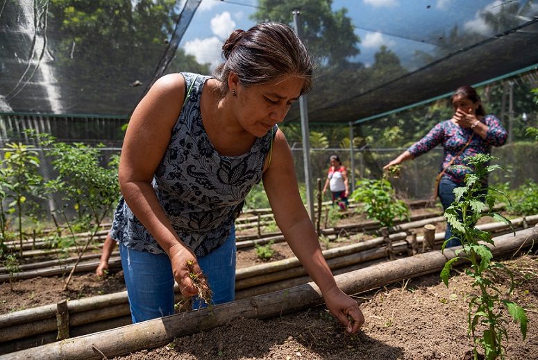 Desarrolla Unión Europea proyectos para mujeres rurales en Puebla