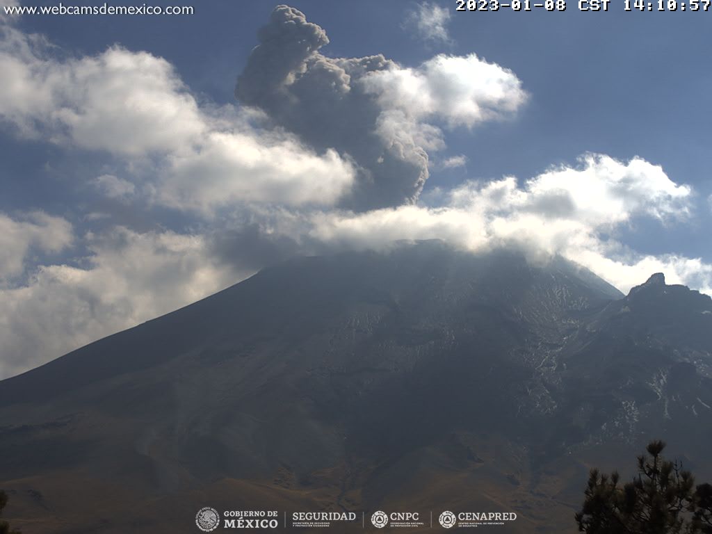 Popocatépetl registra 115 exhalaciones en 24 horas