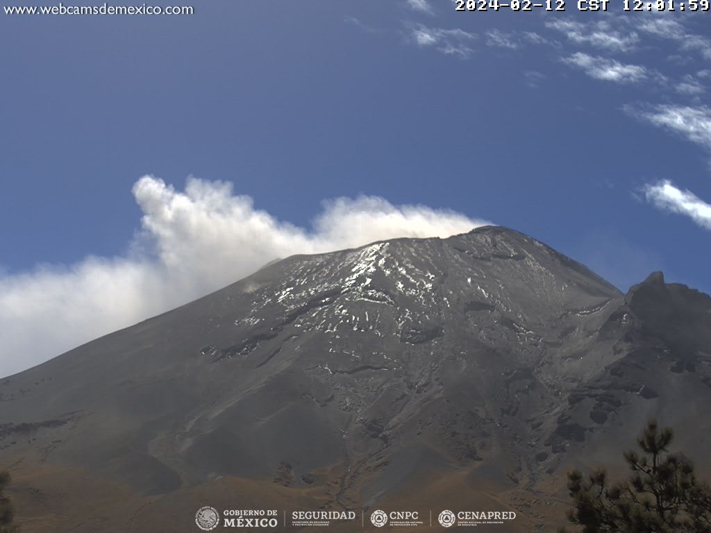 Popocatépetl registra 450 minutos de tremor y 51 exhalaciones