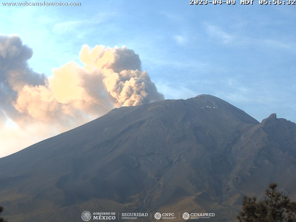 Popocatépetl registra 155 exhalaciones y 5 explosiones