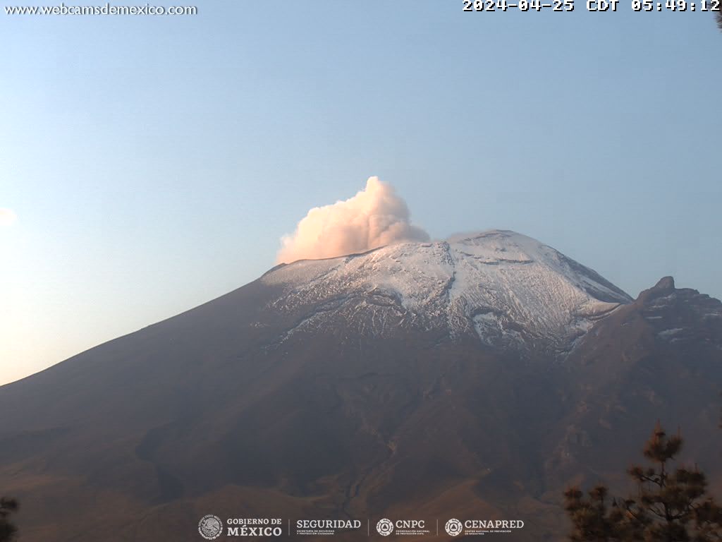 Popocatépetl registra 113 exhalaciones en 24 horas
