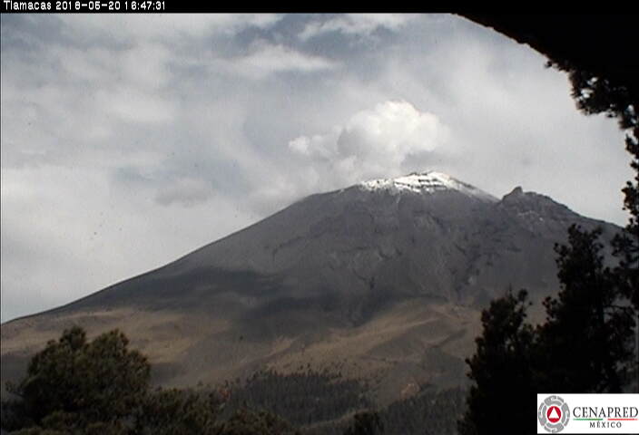 Registra Cenapred 20 exhalaciones y sismo del Popocatépetl