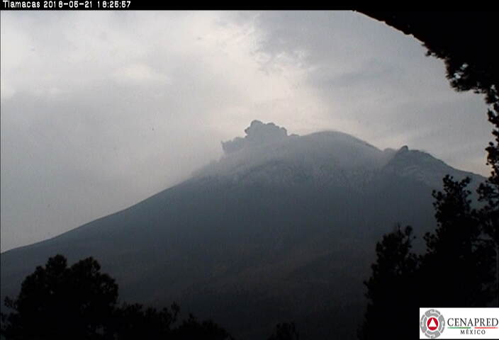 Exhalaciones, sismo y explosión, la actividad del Popocatépetl
